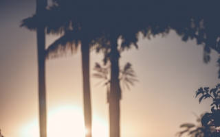 2a65c4fc3da30d314ed6a65161792a4d.jpg